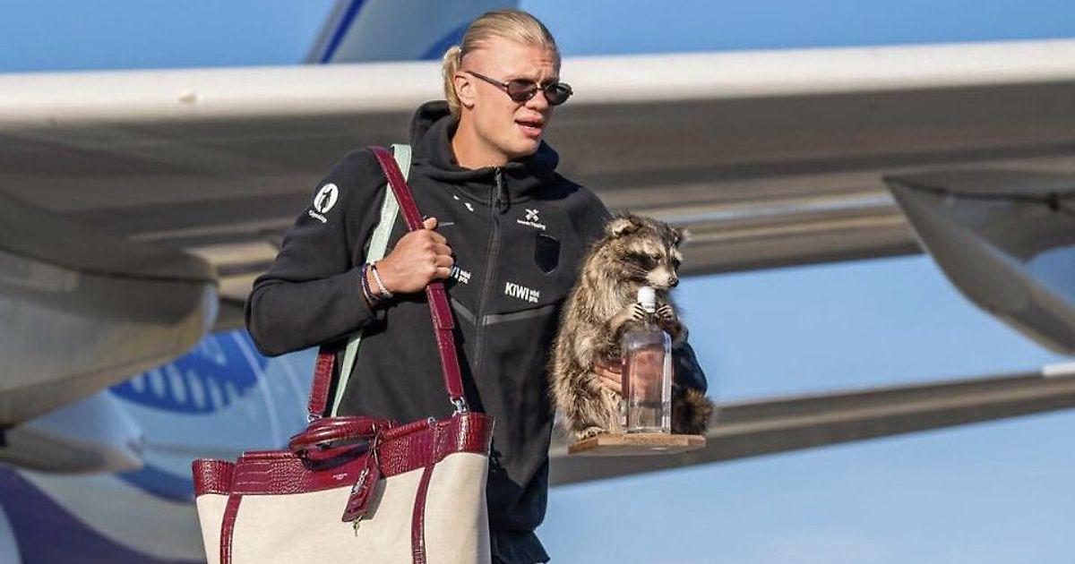 Холанн әлем чемпионатынан кейін Америка Құрама Штаттарынан еноттың тұлыбын алып келді. Жеті жүз елу доллар тұратын ойыншықтың табандарында джин бөтелкесі бар